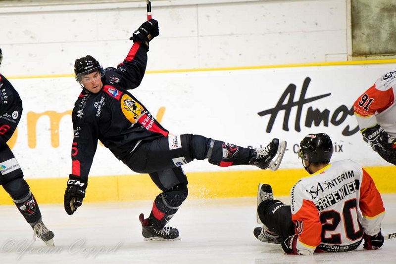 Photo hockey Ligue Magnus - Ligue Magnus : 1re journe : Chamonix  vs Nice - Victoire  sens unique des Aigles