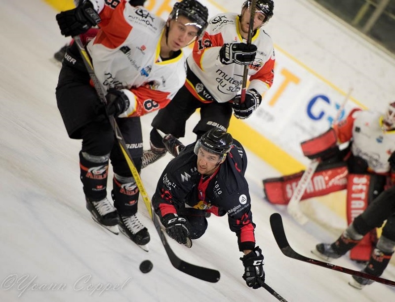 Photo hockey Ligue Magnus - Ligue Magnus : 1re journe : Chamonix  vs Nice - Victoire  sens unique des Aigles
