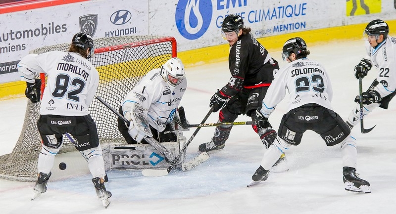 Photo hockey Ligue Magnus - Ligue Magnus : 23me journe : Amiens  vs Marseille - Marseille s