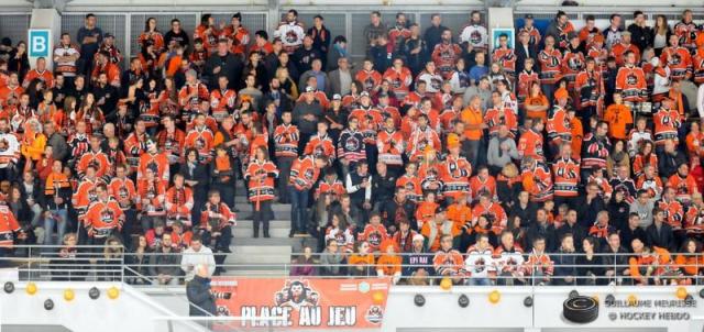 Photo hockey Ligue Magnus - Ligue Magnus : 26me journe : Epinal  vs Lyon - Epinal  dauphin  de saison rgulire