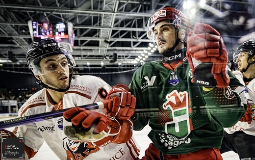 Photo hockey Ligue Magnus - Ligue Magnus : 29me journe : Cergy-Pontoise vs Nice - La belle opration de Nice !