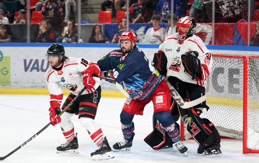 Photo hockey Ligue Magnus - Ligue Magnus : 2me journe : Grenoble  vs Nice - Grenoble se reprend  domicile ! 