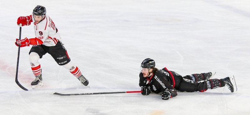 Photo hockey Ligue Magnus - Ligue Magnus : 31me journe : Amiens  vs Nice - Nice s