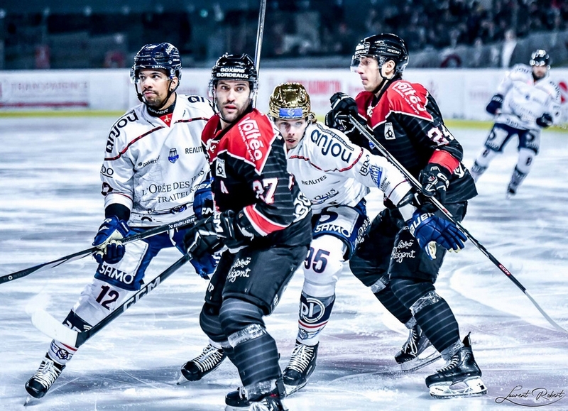 Photo hockey Ligue Magnus - Ligue Magnus : 31me journe : Bordeaux vs Angers  - Les Ducs remportent un duel de haut vol  Mriadeck !