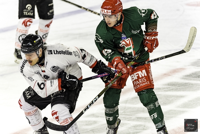 Photo hockey Ligue Magnus - Ligue Magnus : 33me journe : Cergy-Pontoise vs Amiens  - Les Jokers confirment face aux Gothiques