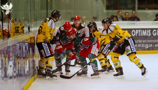 Photo hockey Ligue Magnus - Ligue Magnus : 35me journe : Anglet vs Rouen - Les Dragons videmment