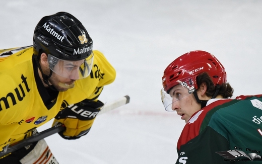 Photo hockey Ligue Magnus - Ligue Magnus : 35me journe : Cergy-Pontoise vs Rouen - Les Dragons coiffent les jokers sur le fil