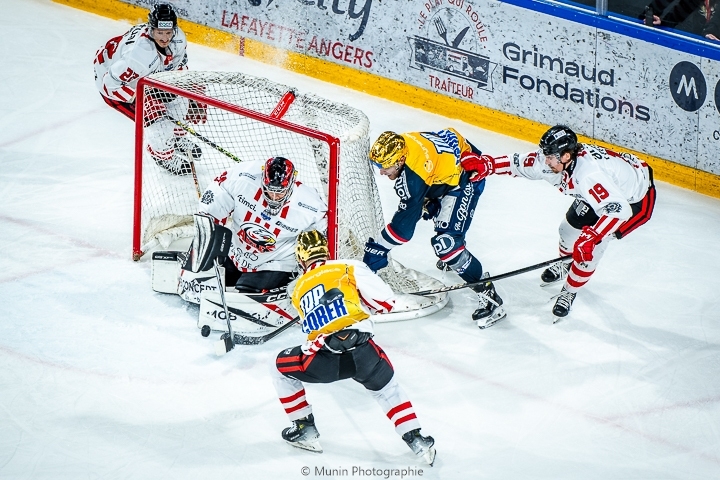 Photo hockey Ligue Magnus - Ligue Magnus : 40me journe : Angers  vs Nice - Angers droule face  Nice