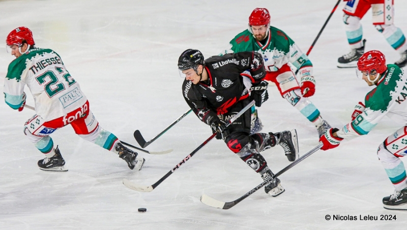 Photo hockey Ligue Magnus - Ligue Magnus : 42me journe : Amiens  vs Anglet - Amiens s