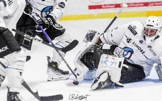 Photo hockey Ligue Magnus - Ligue Magnus : 44me journe : Marseille vs Amiens  - Marseille termine 5me aprs sa victoire face  Amiens