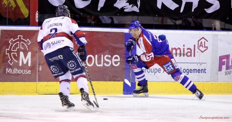 Photo hockey Ligue Magnus - Ligue Magnus : 44me journe : Mulhouse vs Angers  - Les promus obtiennent le ticket dor 