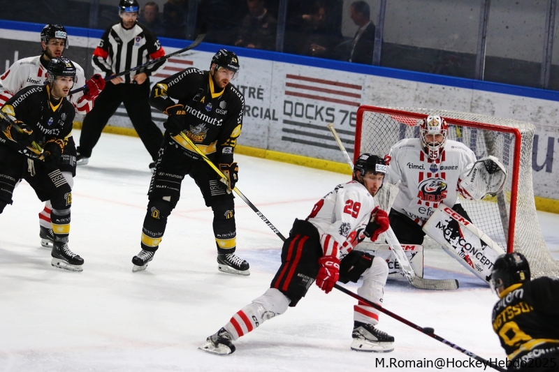 Photo hockey Ligue Magnus - Ligue Magnus : 44me journe : Rouen vs Nice - Rouen gagne, Nice sourit.