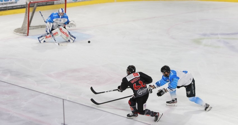 Photo hockey Ligue Magnus - Ligue Magnus : 4me journe : Amiens  vs Gap  - LM : Les Gothiques ont toujours la tte sous leau