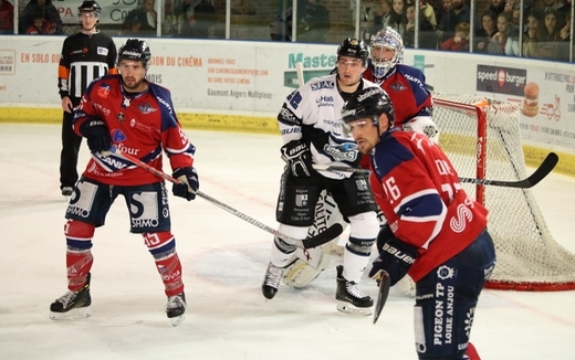 Photo hockey Ligue Magnus - Ligue Magnus : 7me journe : Angers  vs Gap  - Les Rapaces volent plus haut que les Ducs