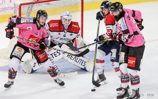 Photo hockey Ligue Magnus - Ligue Magnus : 9me journe : Amiens  vs Angers  - Tout n