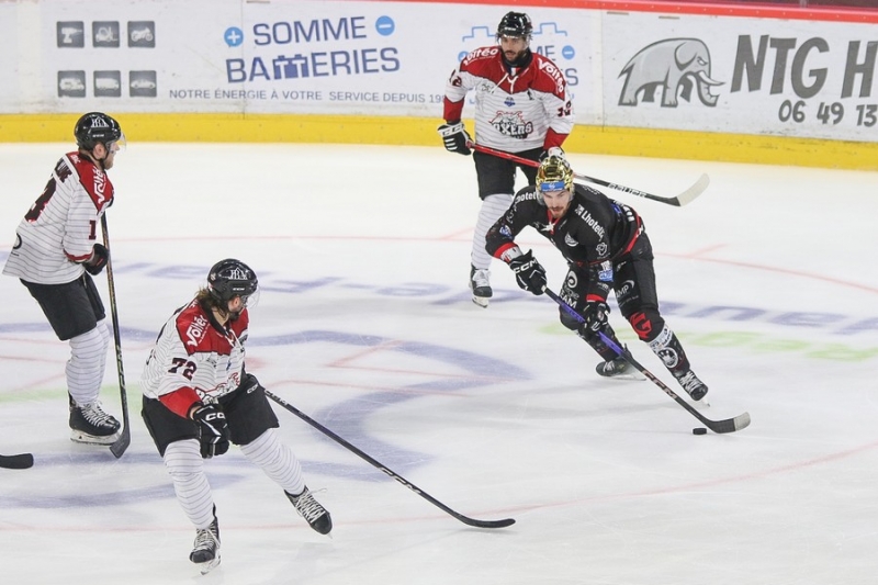 Photo hockey Ligue Magnus - Ligue Magnus : 9me journe : Amiens  vs Bordeaux - Les PHOTOS de la victoire D