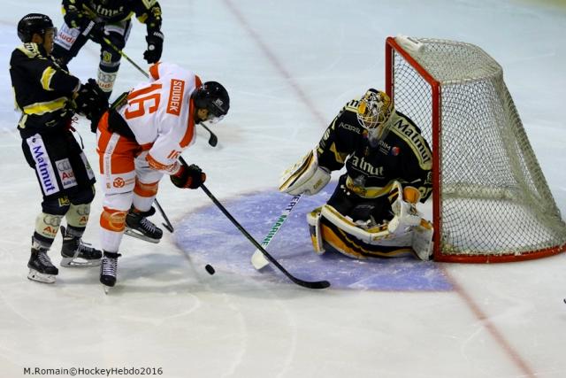 Photo hockey Ligue Magnus - Ligue Magnus : 9ème journée : Rouen vs Epinal - LM : Des dragons retrouvés. Photo hockey Ligue Magnus - Ligue Magnus : 9ème journée : Rouen vs Epinal - LM : Des dragons retrouvés.