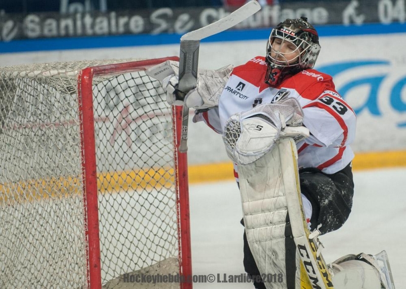 Photo hockey Ligue Magnus - Ligue Magnus : demi-finale, match 7 : Grenoble  vs Bordeaux - 7 fois cest fait