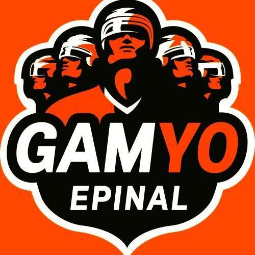 Photo hockey Ligue Magnus - Ligue Magnus : Epinal  (Les Wildcats) - N un 4 juillet...