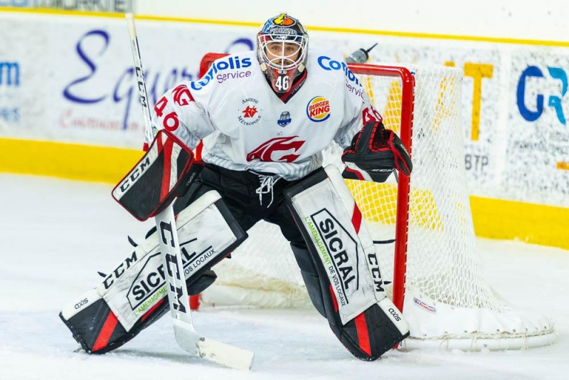 Photo hockey Ligue Magnus - Ligue Magnus - LM - Prsentation Amiens