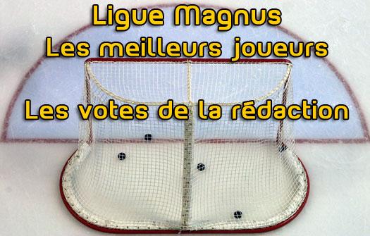Photo hockey Ligue Magnus - Ligue Magnus - Magnus : Les meilleurs joueurs