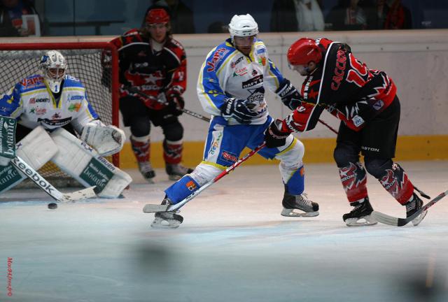 Photo hockey Ligue Magnus - Ligue Magnus : Neuilly/Marne (Les Bisons) - Les ambitions des Bisons