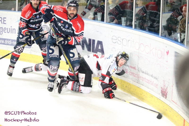 Photo hockey Ligue Magnus - Ligue Magnus :19me journe : Angers  vs Amiens  - Reportage photos