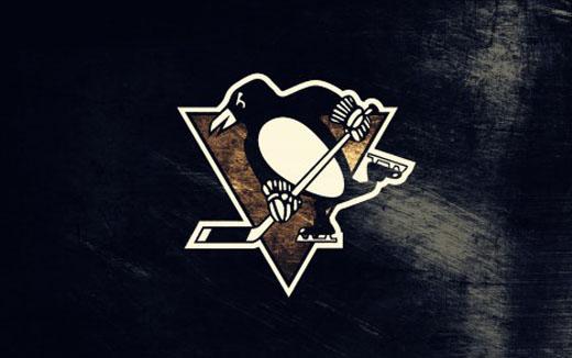 Photo hockey NHL : National Hockey League - AHL - NHL : National Hockey League - AHL - A quoi jouent les Pens  ?