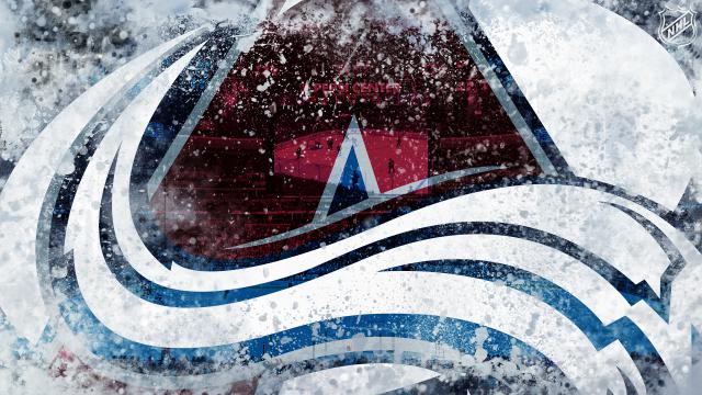 Photo hockey NHL : National Hockey League - AHL - NHL : National Hockey League - AHL - C. Bleackley : Un rebelle pris dans une avalanche