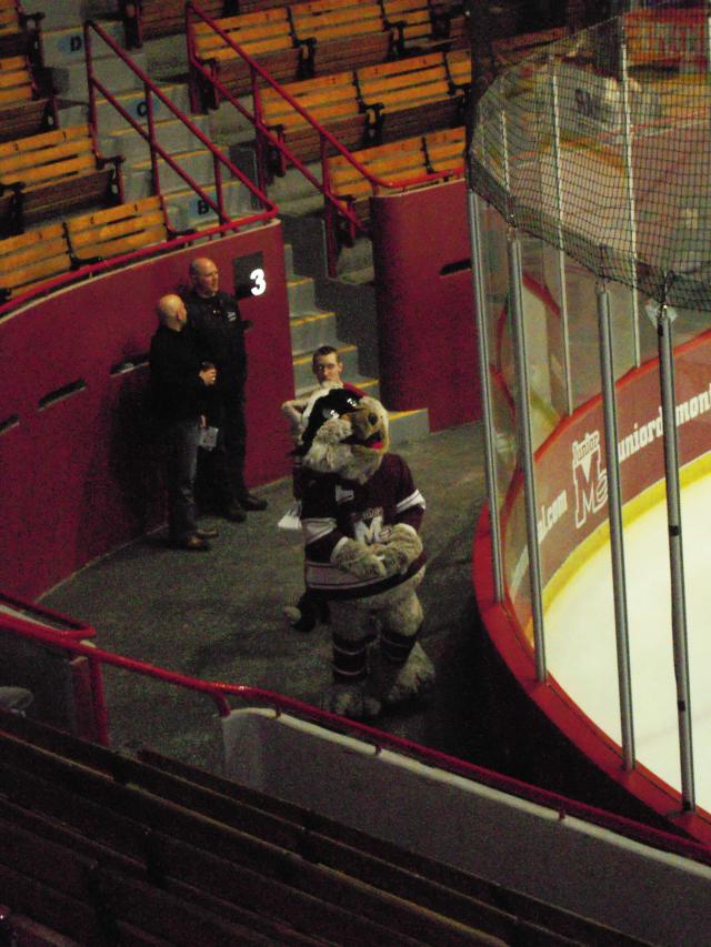 Photo hockey NHL : National Hockey League - AHL - NHL : National Hockey League - AHL - Hockey LHJMQ : Gros plan ... le Junior Montral