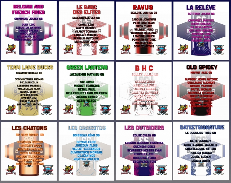 Photo hockey Roller Hockey - Roller Hockey - Roller - 3�me Edition - RED