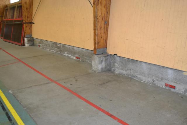 Photo hockey Roller Hockey - Roller Hockey - Roller : Les Dauphins de Villard-Bonnot , en finale oui mais...