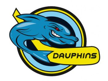 Photo hockey Roller Hockey - Roller Hockey - Roller : Les Dauphins de Villard-Bonnot , en finale oui mais...