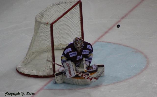 Photo hockey Suisse - National League - Suisse - National League : Genève (Genève-Servette HC) - Genève arrête la belle série de Bienne Photo hockey Suisse - National League - Suisse - National League : Genève (Genève-Servette HC) - Genève arrête la belle série de Bienne