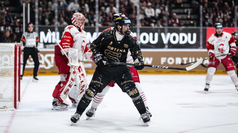 Photo hockey TELH - Tipsport Extraliga Ledn�ho Hokeje - TELH - Tipsport Extraliga Ledn�ho Hokeje - TELH : Attendu