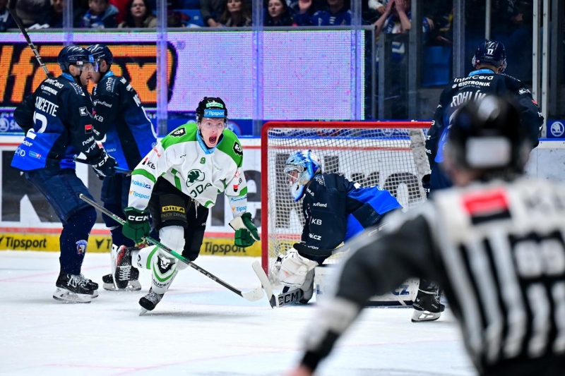 Photo hockey TELH - Tipsport Extraliga Lednho Hokeje - TELH - Tipsport Extraliga Lednho Hokeje - TELH : Les lions et les locaux