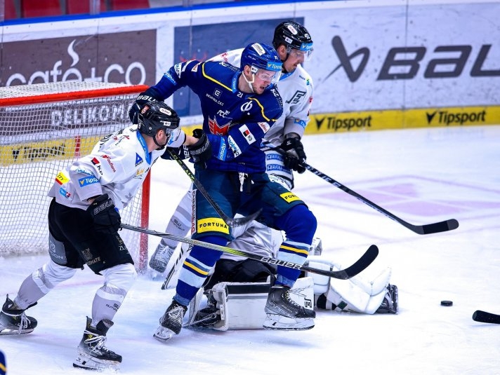 Photo hockey TELH - Tipsport Extraliga Lednho Hokeje - TELH - Tipsport Extraliga Lednho Hokeje - TELH : Les locaux et les coqs