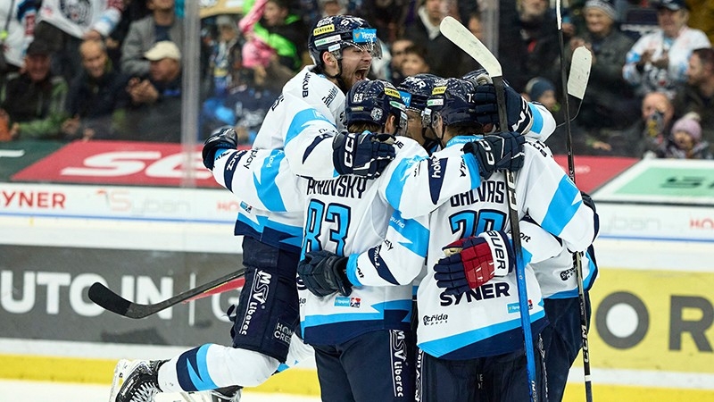 Photo hockey TELH - Tipsport Extraliga Ledn�ho Hokeje - TELH - Tipsport Extraliga Ledn�ho Hokeje - TELH : Les tigres dauphins