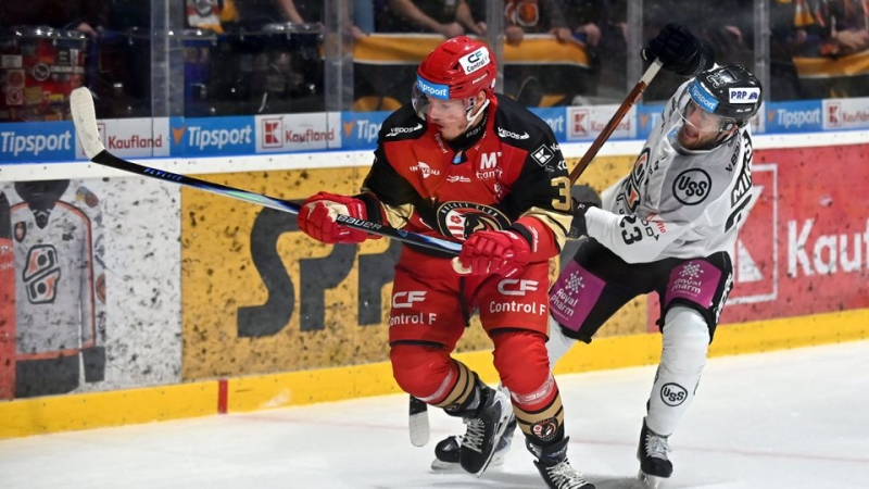 Photo hockey Tipsport Liga - Tipsport Liga - Tipsport Liga : Le haut est en bas