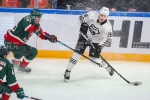 KHL : L'ours et la panthre