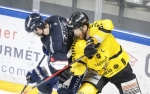 Ligue Magnus : 30me journe : Angers  vs Rouen