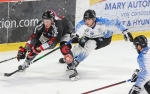 Ligue Magnus : 32me journe : Amiens  vs Gap 