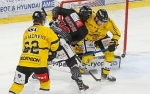 Ligue Magnus : 20me journe : Amiens  vs Rouen