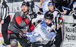 Ligue Magnus : 42me journe : Bordeaux vs Gap 