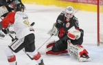 Ligue Magnus : 42me journe : Amiens  vs Chamonix 
