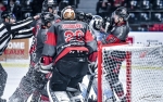 Ligue Magnus : 1ere journe  : Bordeaux vs Amiens 