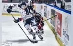 Ligue Magnus : 15me journe : Bordeaux vs Angers 