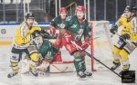 Ligue Magnus : 16me journe : Cergy-Pontoise vs Rouen