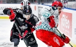 Ligue Magnus : 17me journe : Bordeaux vs Cergy-Pontoise