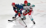 Ligue Magnus : 31me journe : Grenoble  vs Anglet